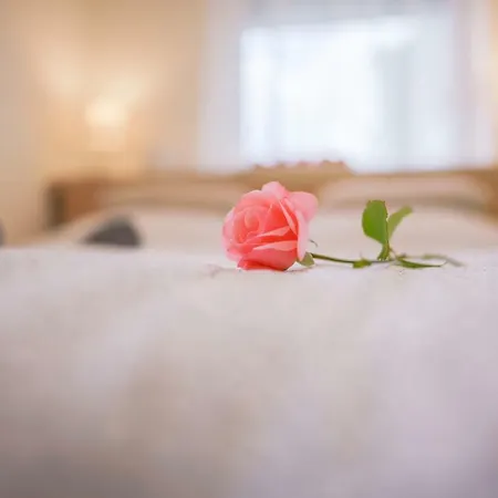 Eleven House بيت للعطل